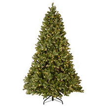 National Tree Company 