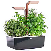 Véritable giardino intelligente