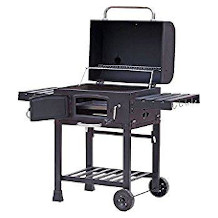 CosmoGrillTM barbecue a pellet