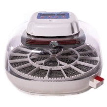 HARRIS FARMS incubatrice per uova