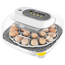 Sailnovo incubatrice per uova