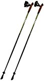 bastoncini da Nordic Walking