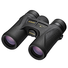 binocolo