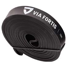 fascia elastica