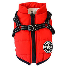 Prodotti per cani